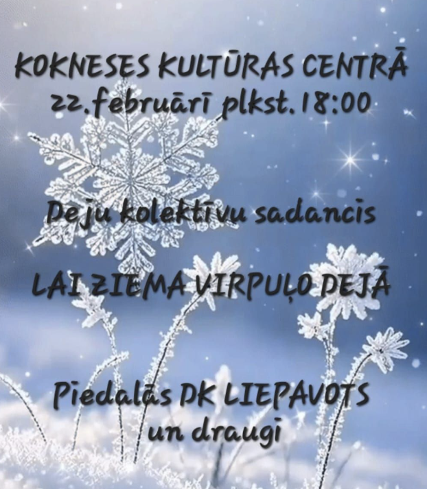 Ekrānuzņēmums 2025-02-13 105607.png