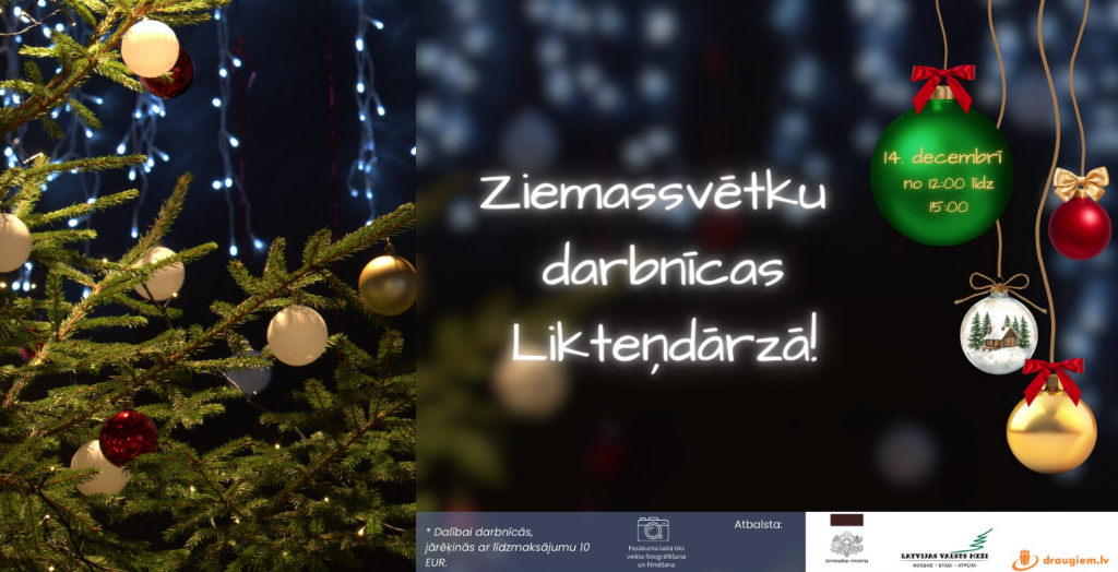 Ekrānuzņēmums 2025-12-02 093429.png
