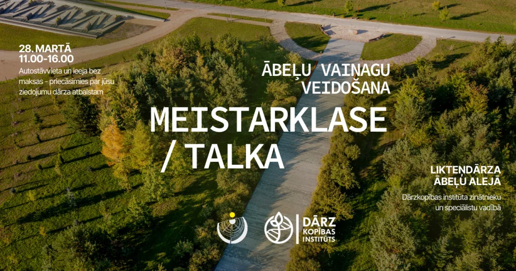 Ābeļu vainagu veidošana Likteņdārzā