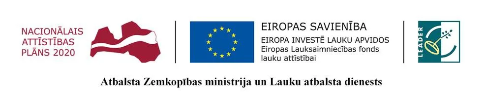 Koknesē uzstāda āra trenažierus 