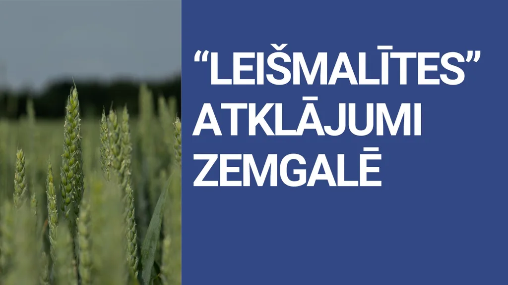 "Leišmalītes" atklājumi Zemgalē