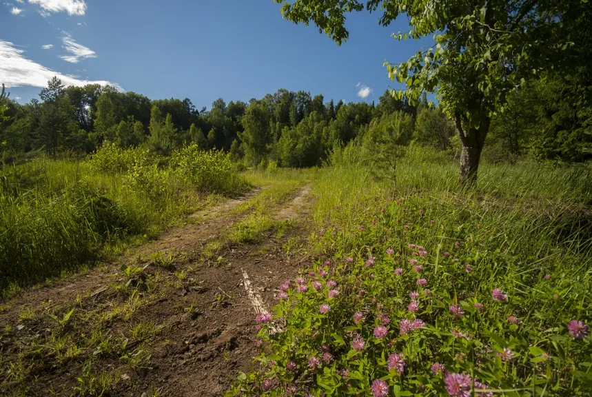 Lielkalnu pilskalns