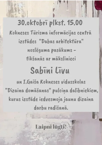 Tikšanās ar mākslinieci Sabīni Līvu