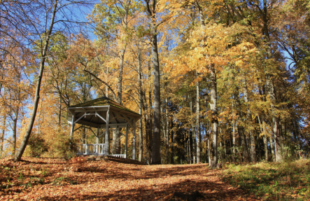 Zelta rudens Kokneses parkā