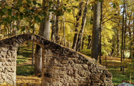 Zelta rudens Kokneses parkā