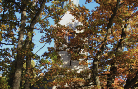 Zelta rudens Kokneses parkā