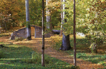 Zelta rudens Kokneses parkā