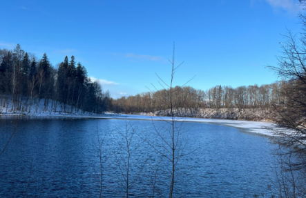 Kokneses parks janvāra salā