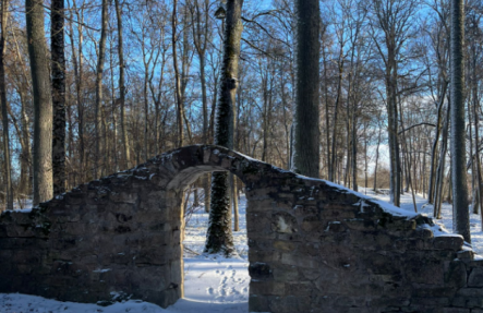 Kokneses parks janvāra salā